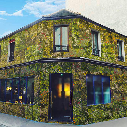 Plan B : le bar 100 % bio et « Origine France » de Biocoop Plan B : le bar 100 % bio et « Origine France » de Biocoop