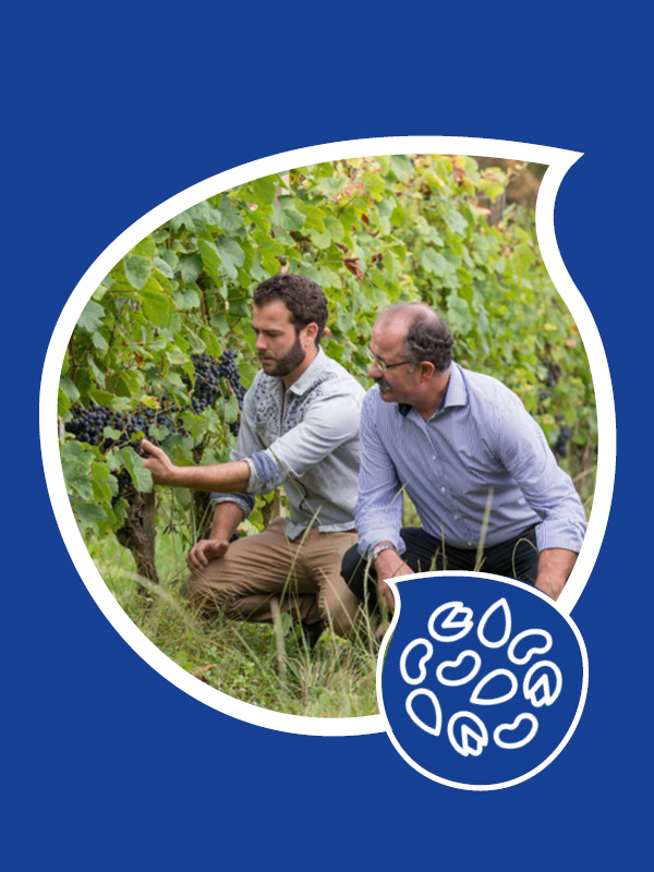 DOMAINE CAPMARTIN DOMAINE CAPMARTIN