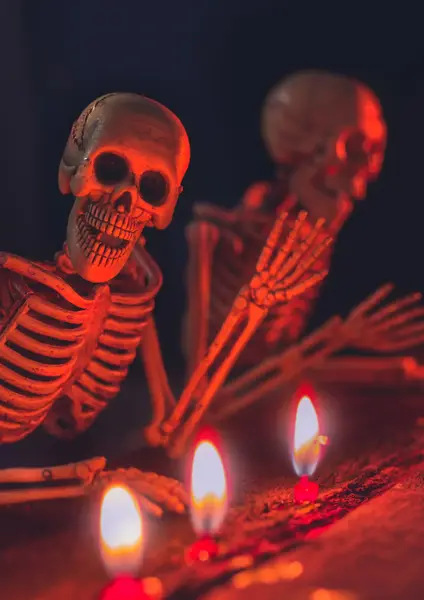 Le petit mot de la Naturo d'Octobre